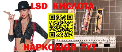 гашик Гусев