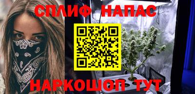 гашик Гусев