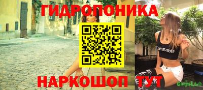гашик Гусев