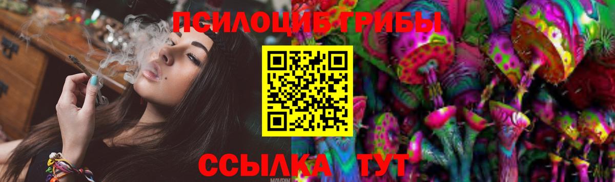 Кулебаки  Псилоцибиновые грибы ЛСД  Вход с VPN  Псилоцибиновые грибы Cubensis 